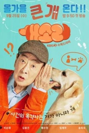 Chú Chó Biết Tuốt - Dog Knows Everything (2024)